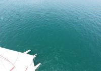 prua di multiscafo yacht sul blu-verde mare